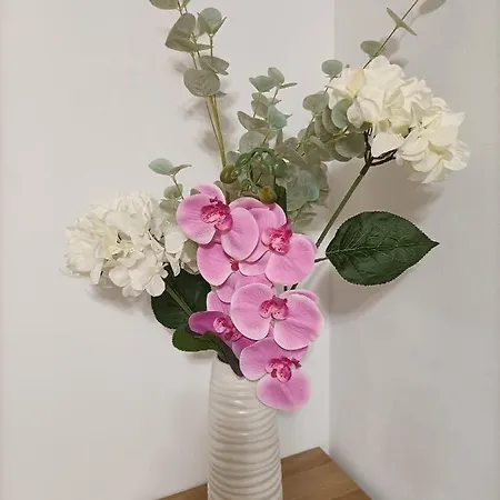 Apartment Odin Peniscola